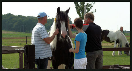 Mystic wordt gemeten