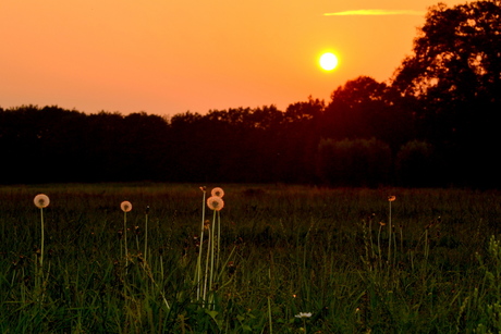 Zonsondergang