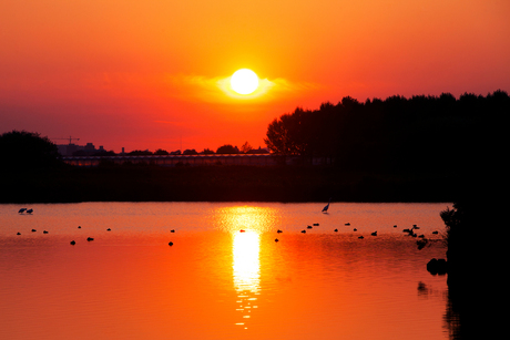 Zonsondergang 12-09-2014 Balijbos, Zoetermeer