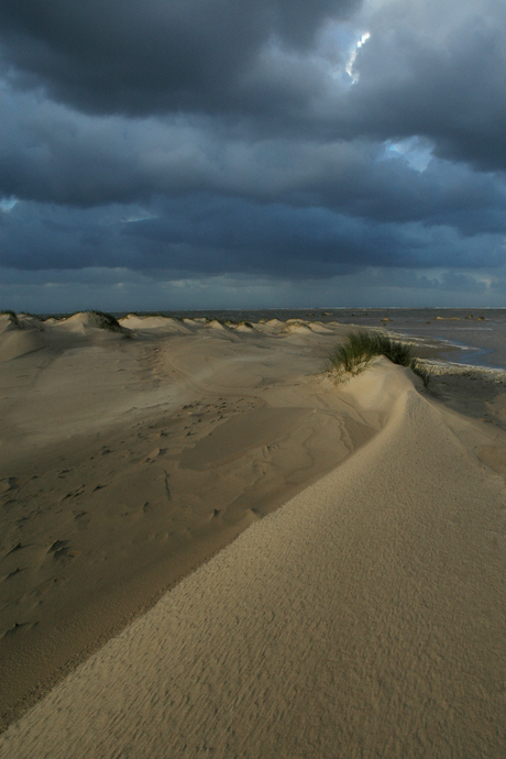 Horsduinen Texel