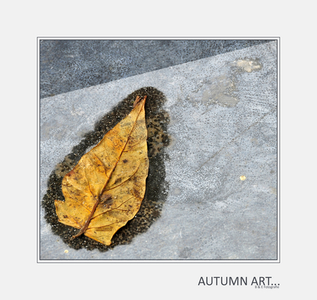 Autumn Art..