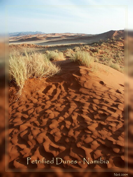 Petrified Dunes