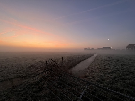 Misty Wormer 