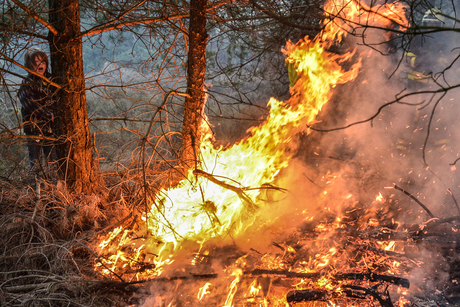 De jongen bij de brand in het bos