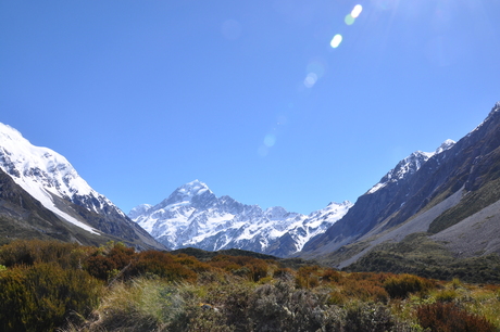 Mount Cook