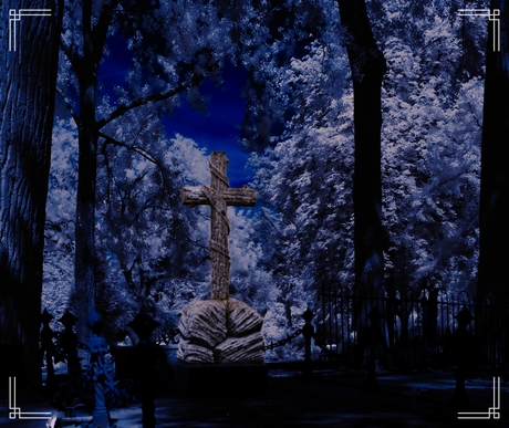 Surreal Estherical Necrography