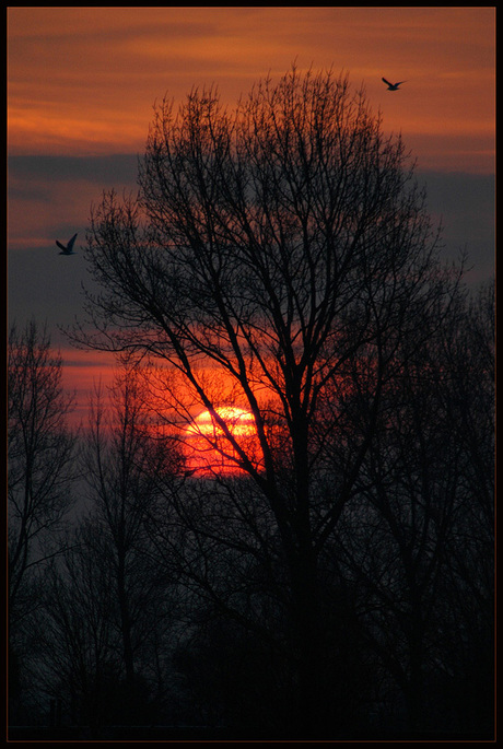 Winter avondzon