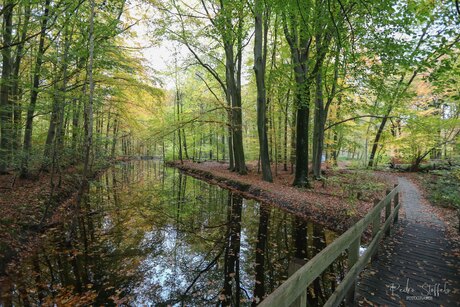Kleurenpracht in het Waterloopbos
