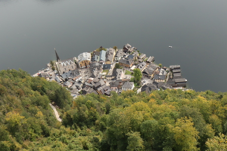 Dorpsgezicht op Hallstatt van boven af