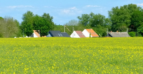 Nationaal Park Skjoldungernesland
