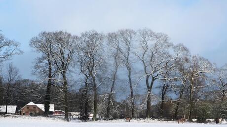 Heeeel even maar: de zon