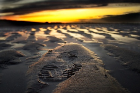 Foot on the beach