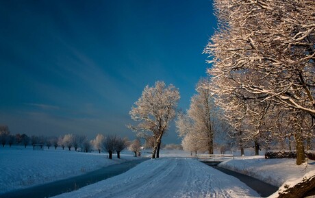 sneeuwlandschap