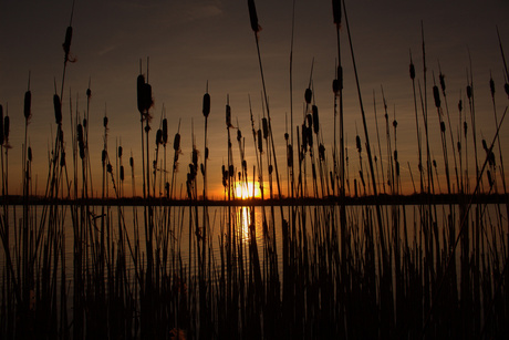 Zonsondergang