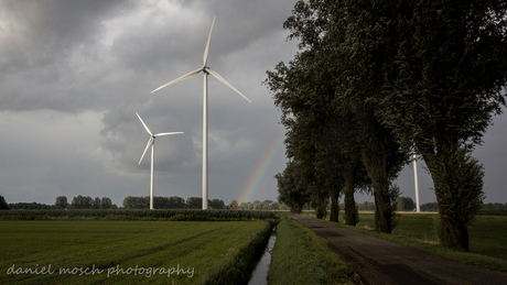 Windmills 2