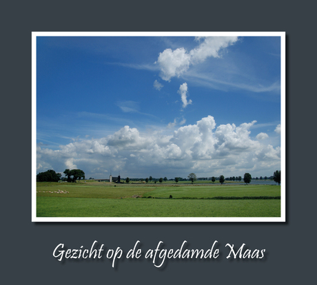 Gezicht op de Afgedamde Maas