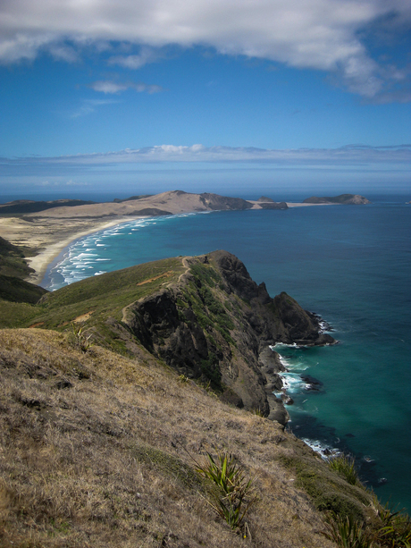 Cape Reinga, Nieuw Zeeland