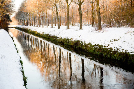 Sneeuw met avondzon