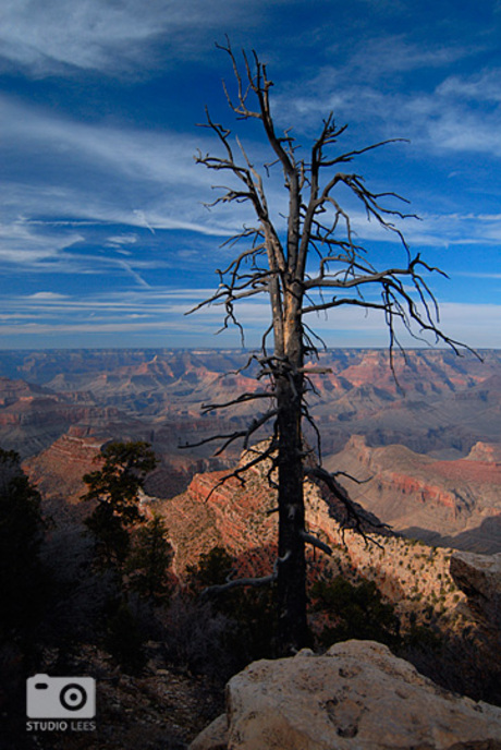 Grand Canyon dramatic view