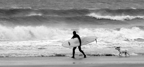 Searching for the perfect wave