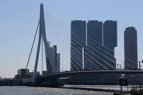 Erasmusbrug / de "Rotterdam"