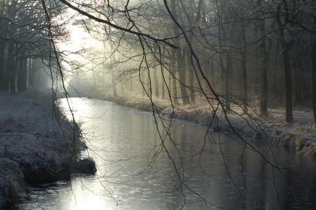 Drenthe in de winter