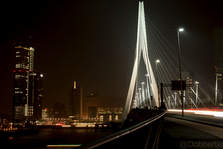 Zicht op Zuidoever Erasmusbrug