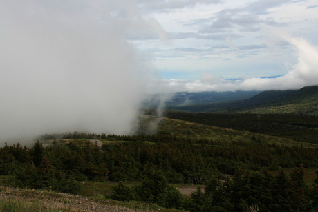 Alaska mist