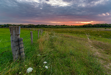 Zonsondergang Itteren aan de Maas