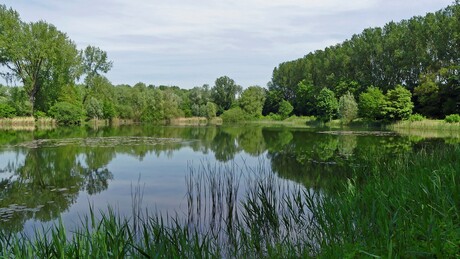 uitzicht  op  een stukje  van der  zandputten