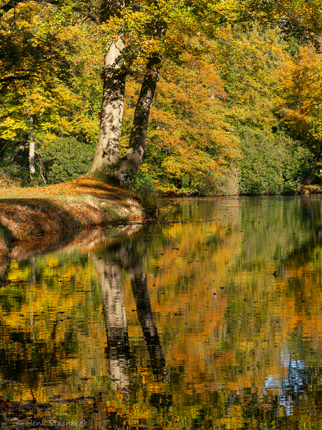 Herfst op zijn mooist