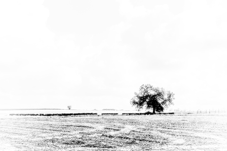 Verstilling