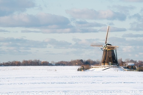 Wat was het mooi afgelopen week