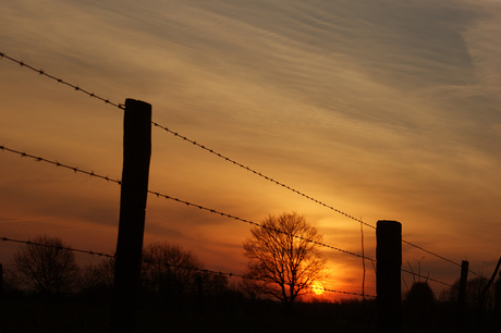 Ondergaande zon in draad "gevangen".
