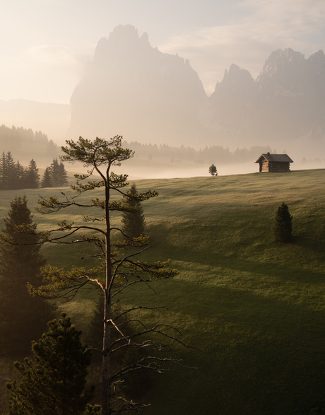 Sunrise Alpe di Siusi