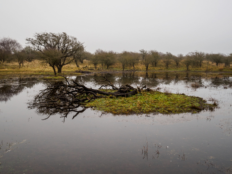 onbewoond eiland