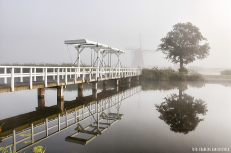 Kinderdijk in Mist