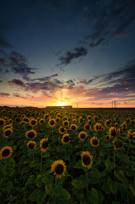 Kdeng,kdeng, hoorde ik in de verte