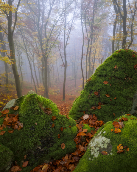 Rotsen in herfstbos