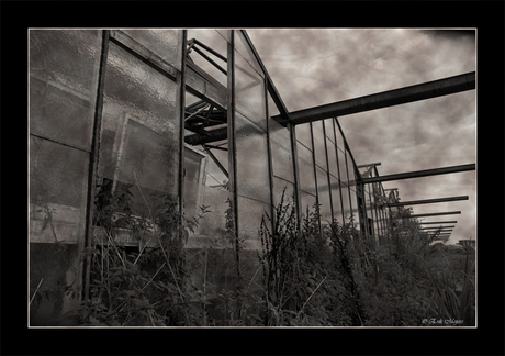 Greenhouse I