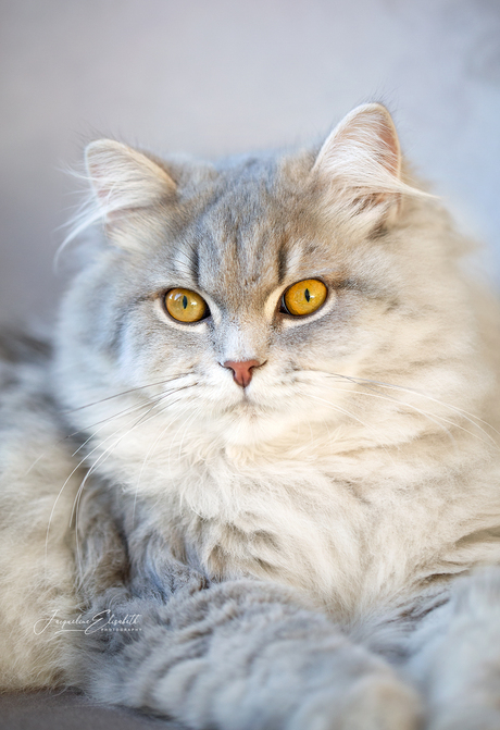 He looks at the world like he already owns it.