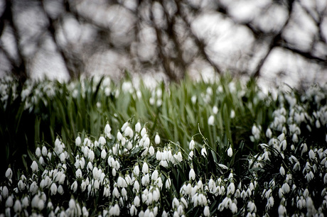 De lente komt er aan...