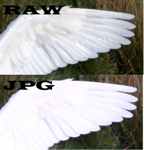 RAW versus JPG
