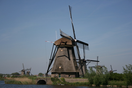 Kinderdijk in April