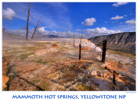 Mammoth Hot Springs, Canary spring