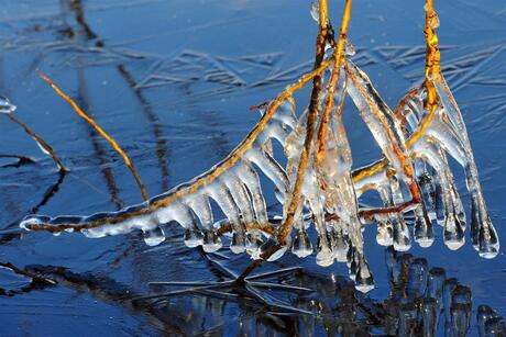 IJspegels in de zon