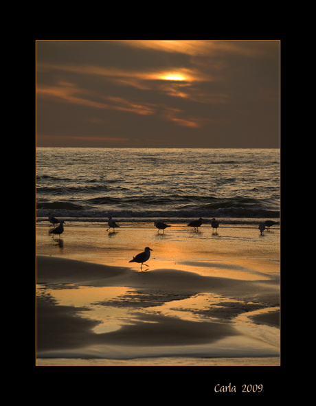 Strandwandeling