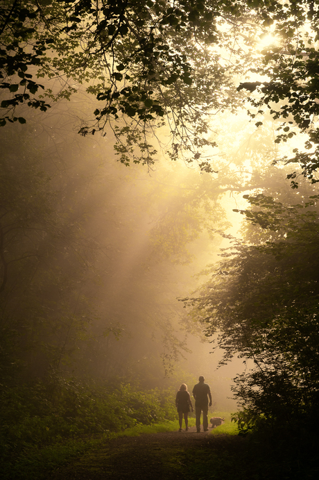 Ochtendwandeling