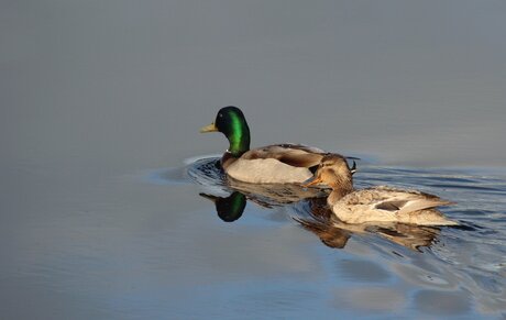 Juste nous deux❤️