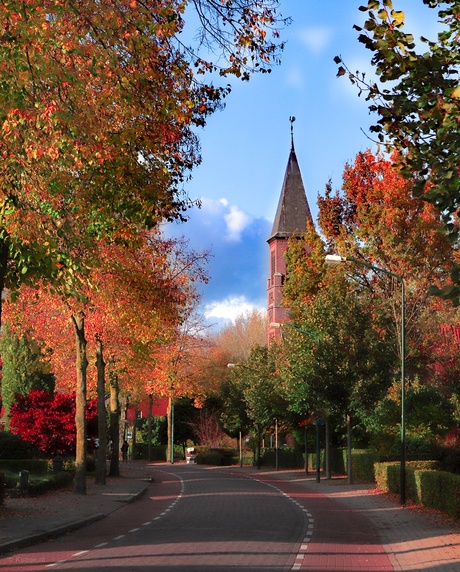 Biestsestraat in Biest